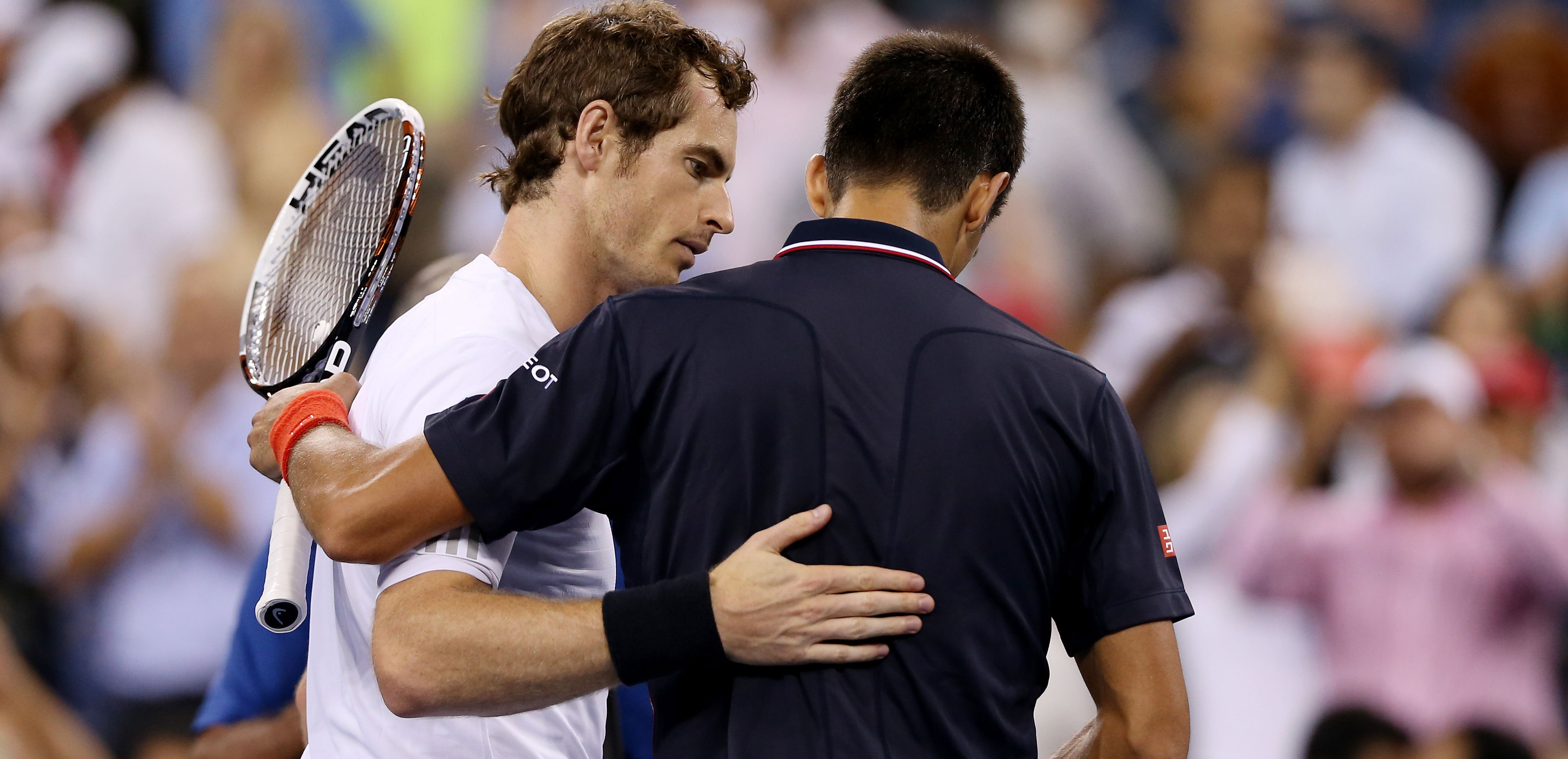 Andy Murray and Novak Djokovic by Getty Images