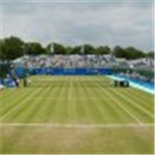 Grass courts