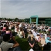 Henman Hill