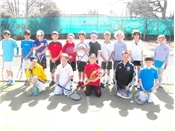 Hale Gardens - Mini Tennis report